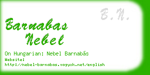 barnabas nebel business card
